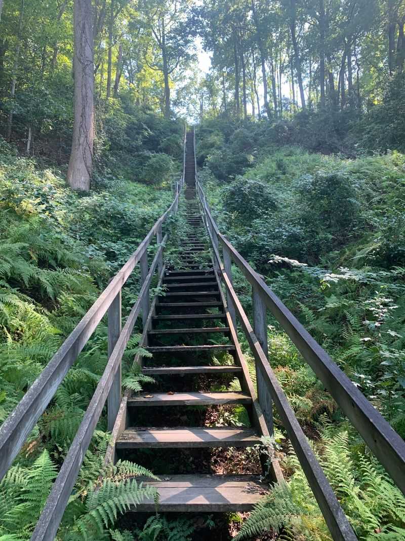 Big Meadow Trail: A Scenic Path to Discovery