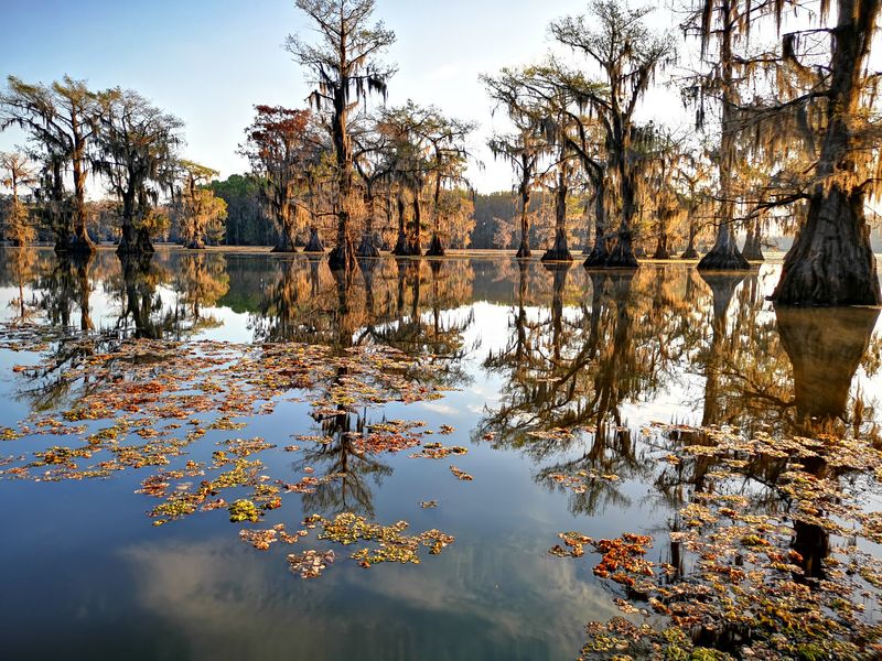 Caddo Lake