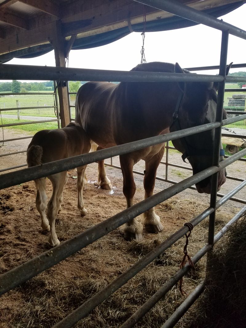 Why Not Everything Is Meant To Be Seen Or Explained