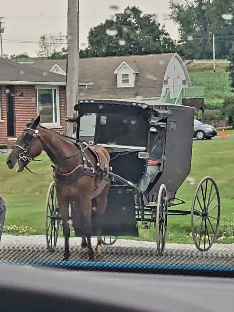Road Design That Reflects A Slower Way Of Life