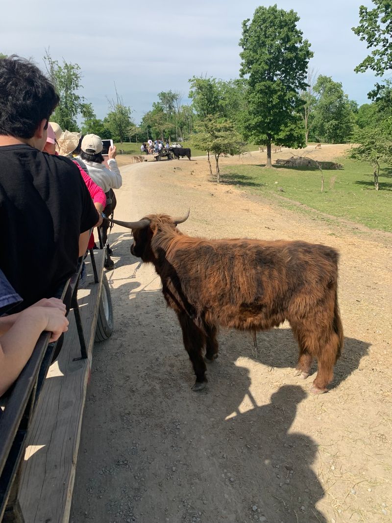 The Importance Of Land And Proximity