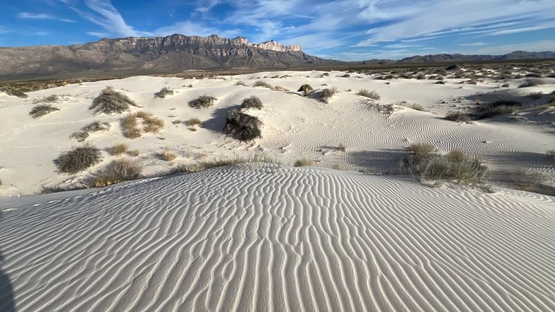 The Landscape That Looks Nothing Like Texas