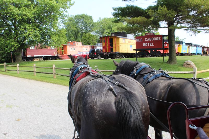 The Rhythm Of Travel That Moves At A Different Pace