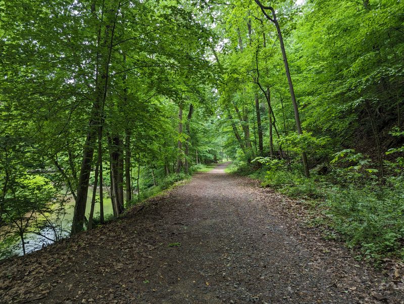 Why Locals Do not Make A Big Deal