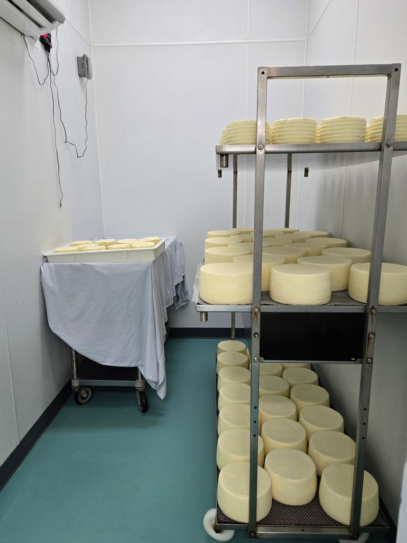 Hand-Stirred Copper Kettles: The Heart of Traditional Cheesemaking