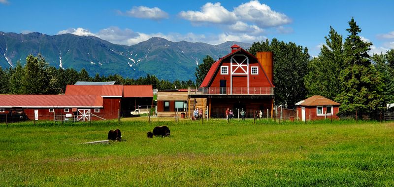 Evenings That Do Not Feel Like Evenings Anymore