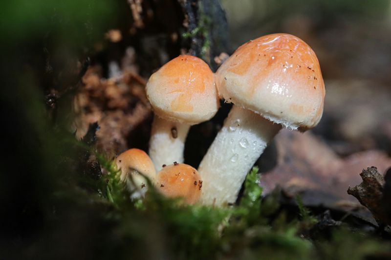 Permits Most Visitors Do Not Realize They Need