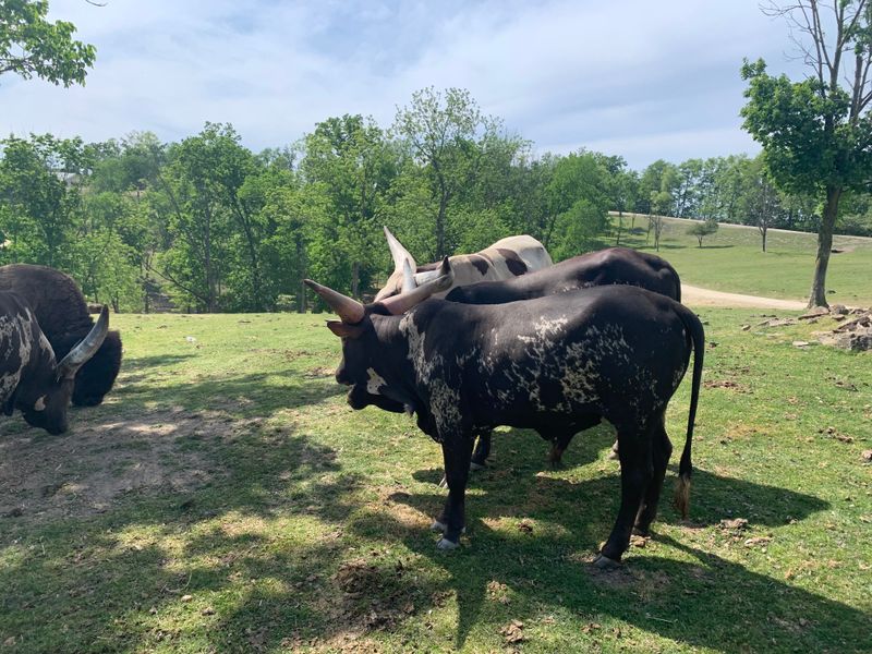 What Tourists Rarely Notice While Passing Through