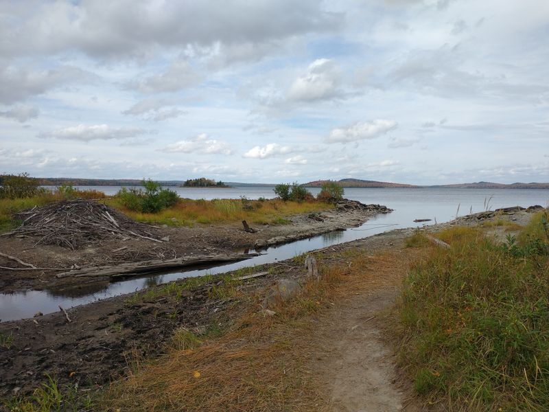 Why Solitude Seekers Keep Coming