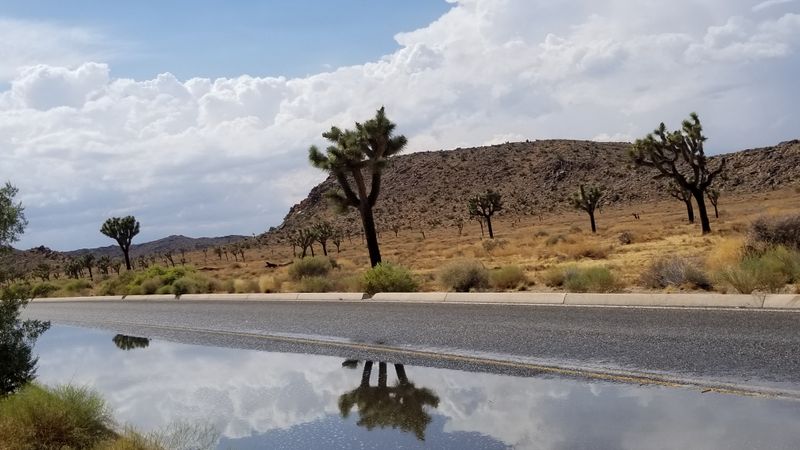 The Rise Of Drive-Up And Pull-Off Tourism