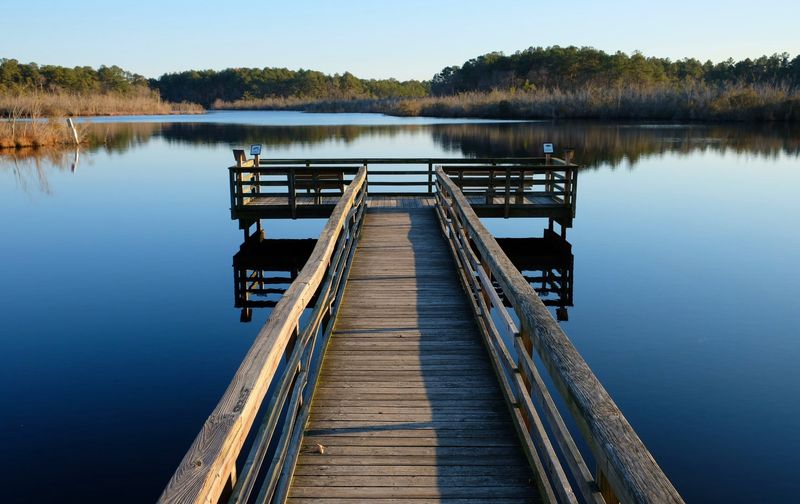 Why Crowds Never Really Show Up