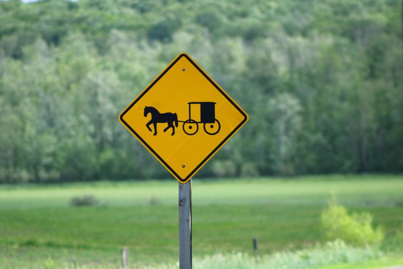Treat Buggies Like Farm Equipment, Not Attractions