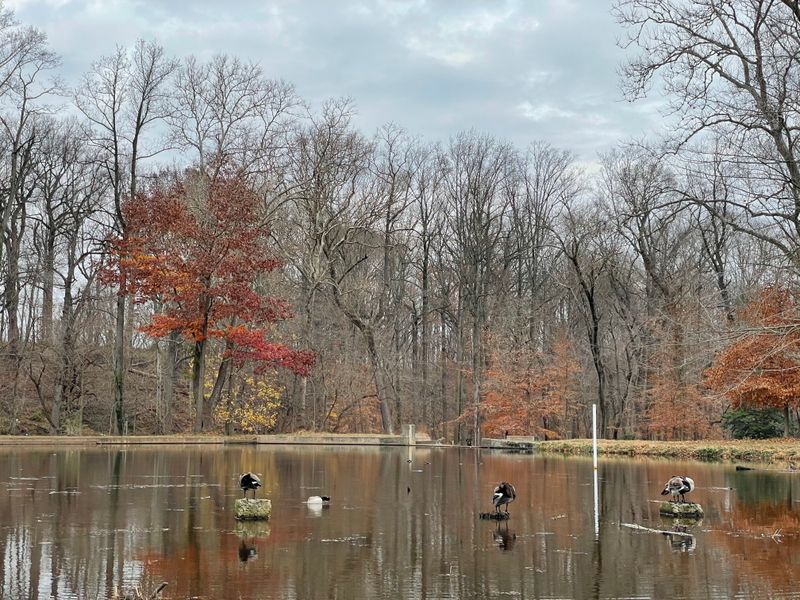 Where The Rides Used To Stand