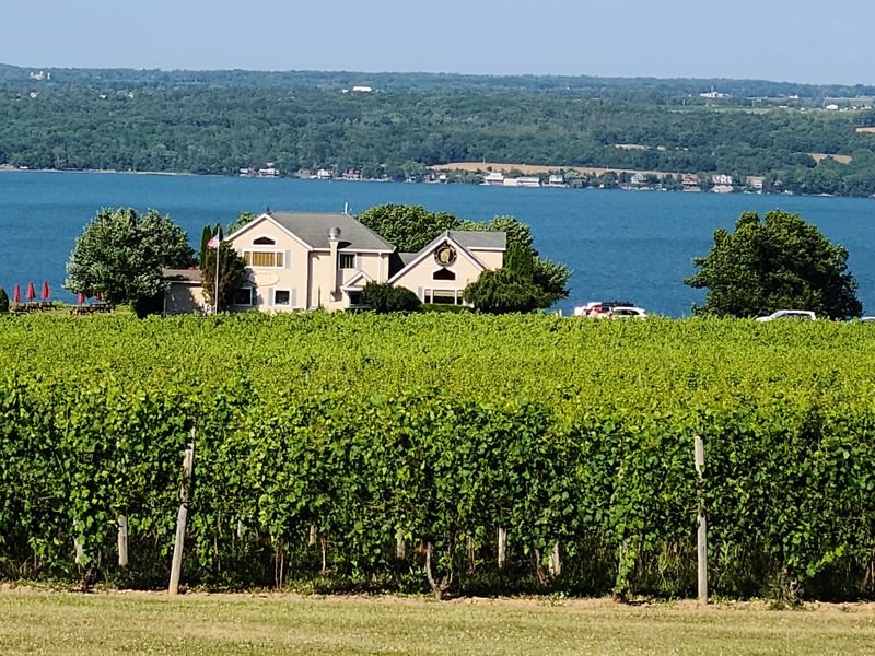 Explore the Finger Lakes Wine Country