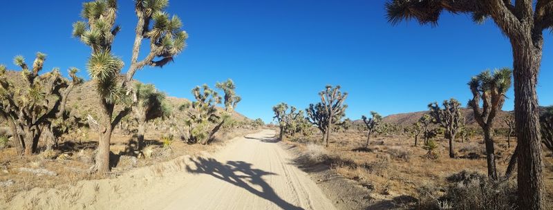 The Difference Between Peak Hours And Quiet Windows