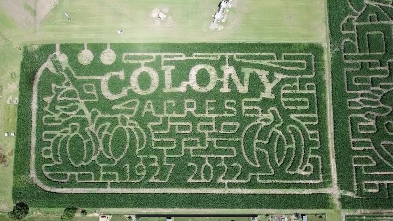 Colony Acres Family Farm Corn Maze, North Liberty