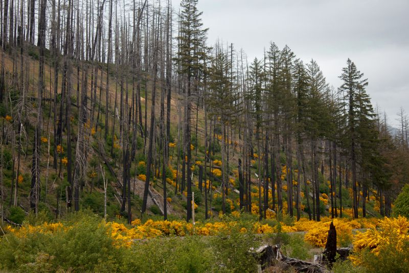 Willamette Valley, Rural Backroads