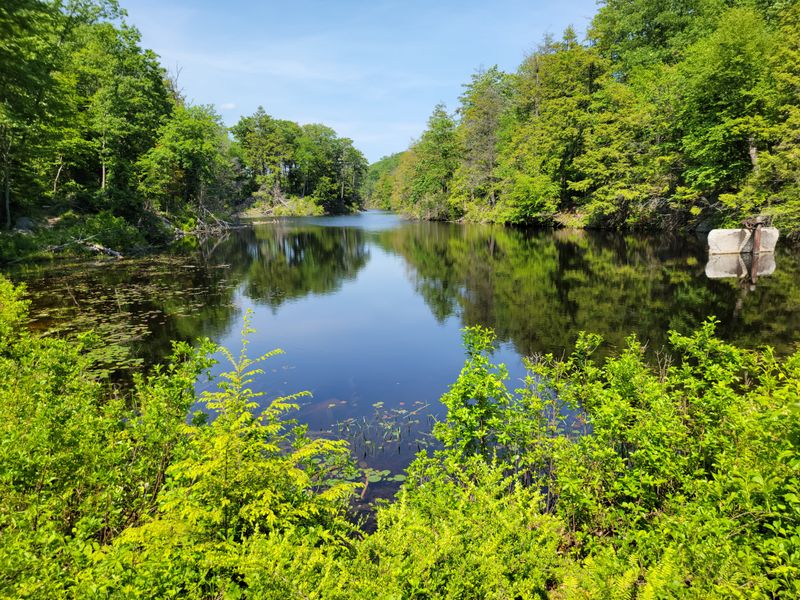 Taconic State Parkway