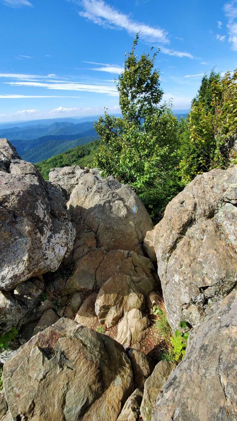 Bearfence Mountain Trail