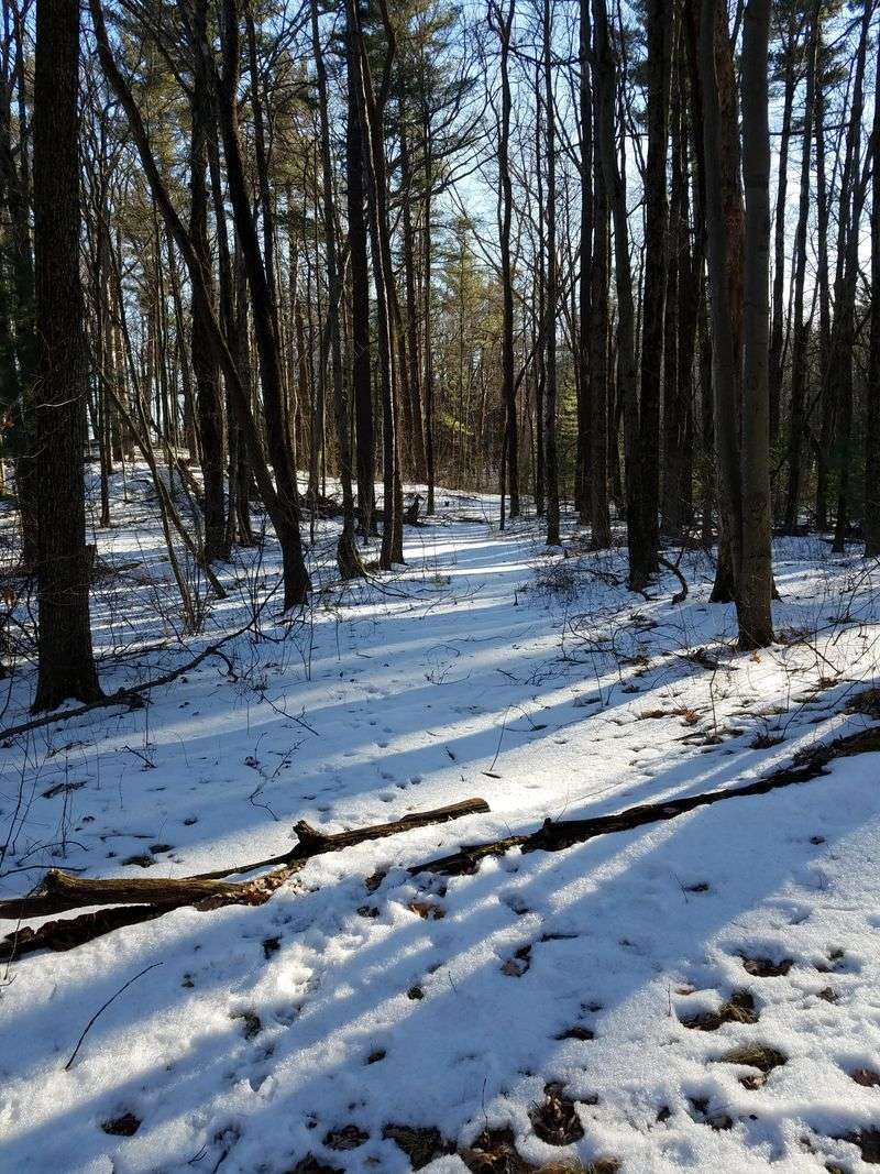 Take a Winter Hike on Nearby Trails
