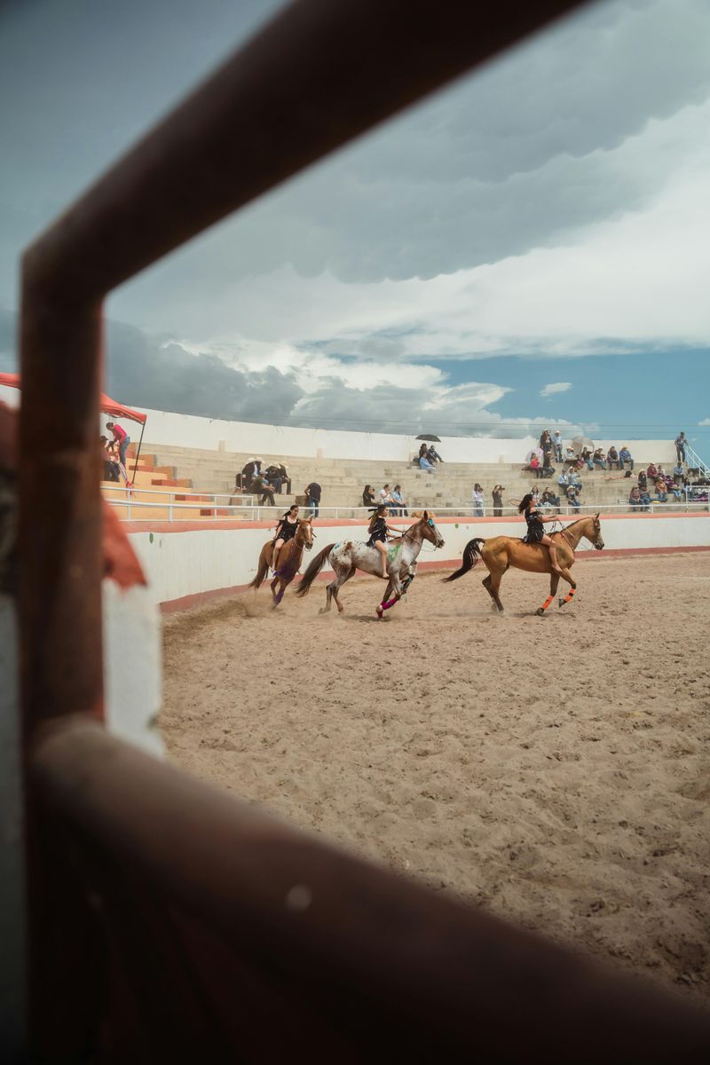 Tripping a Horse for Sport