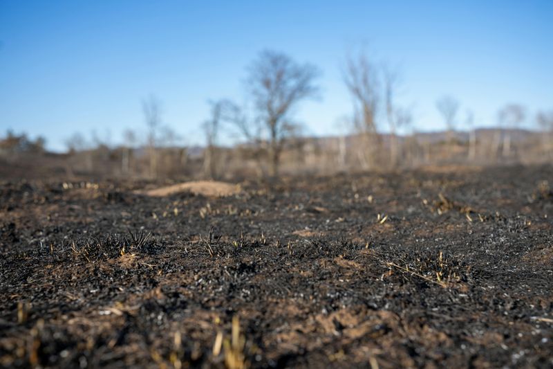 Environmental Damage Still Scars the Landscape