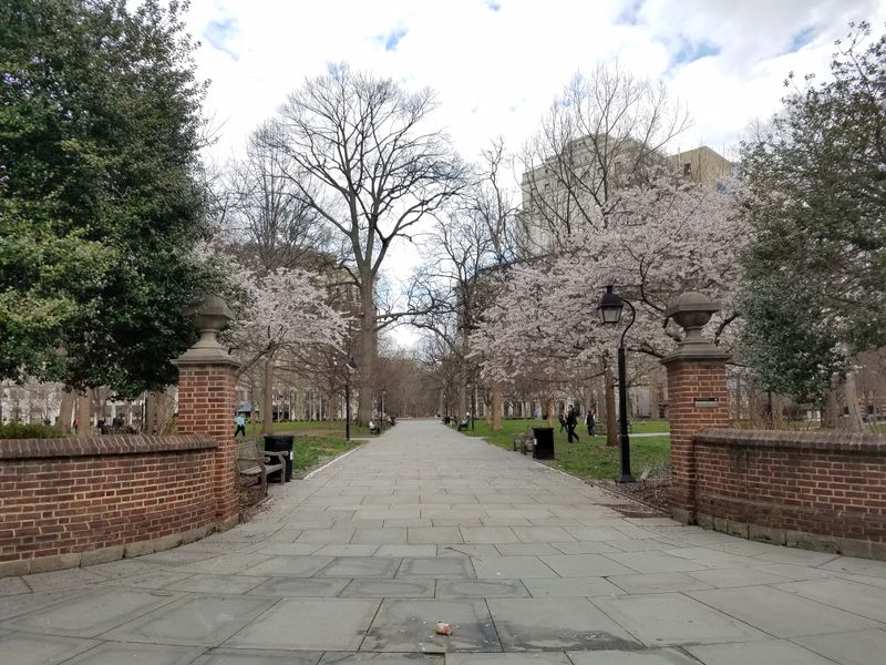 Public Spaces Shift From Community Use To Photo Backdrops