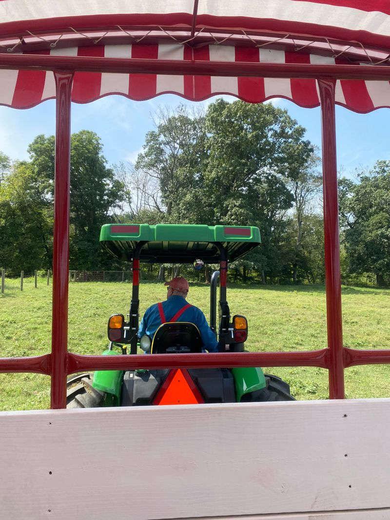 The Unexpected Tractor Ride Through Cow Pastures