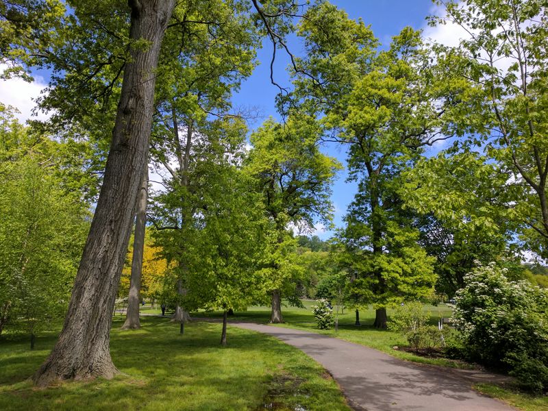 Abundant Parks and Green Spaces for Recreation