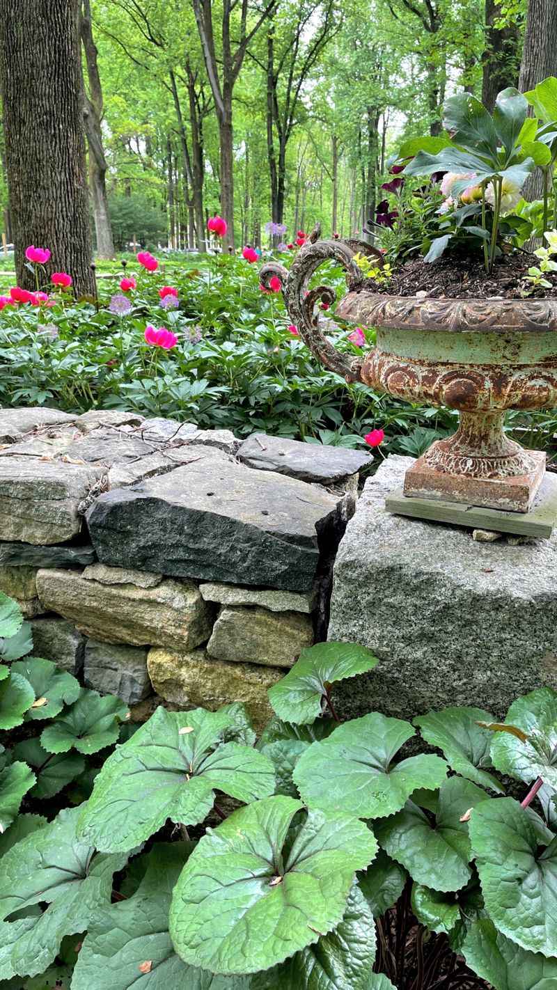 A Photographer's Dream With Picture-Perfect Scenes Everywhere