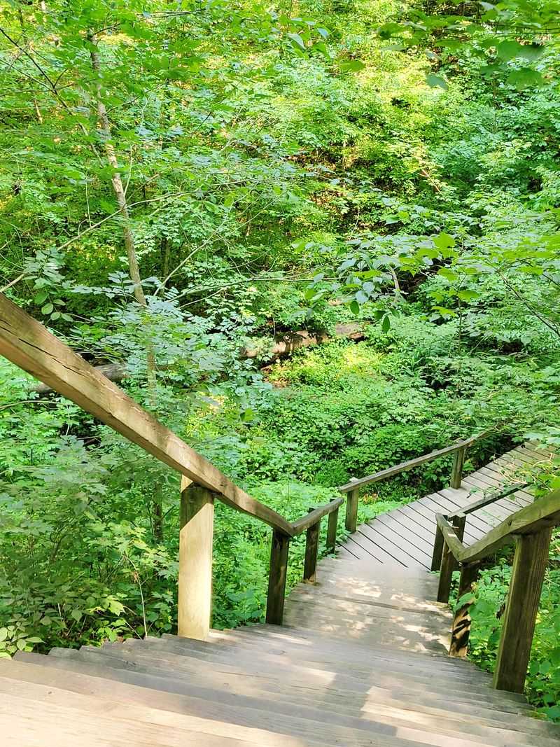 Vertical Ladders Through Rocky Ravines Demand Sturdy Footwear