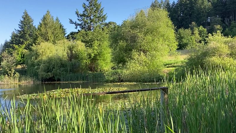 Sustainable Tourism Practices Have Become Standard Expectations