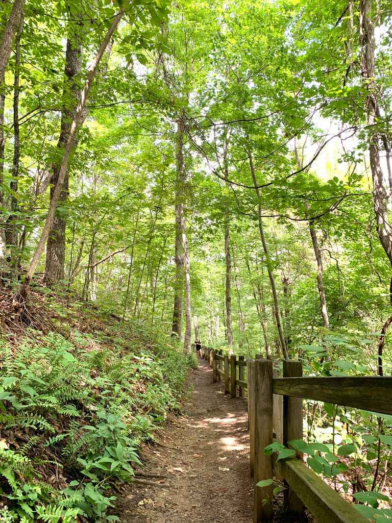 Trash And Damage That Loving Nature To Death Creates