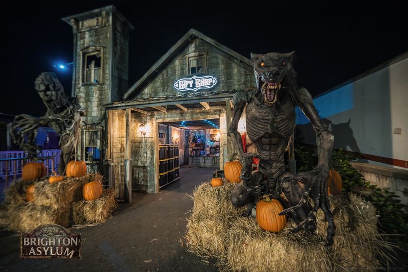 Impressive Customer Ratings and Enthusiastic Return Visitors