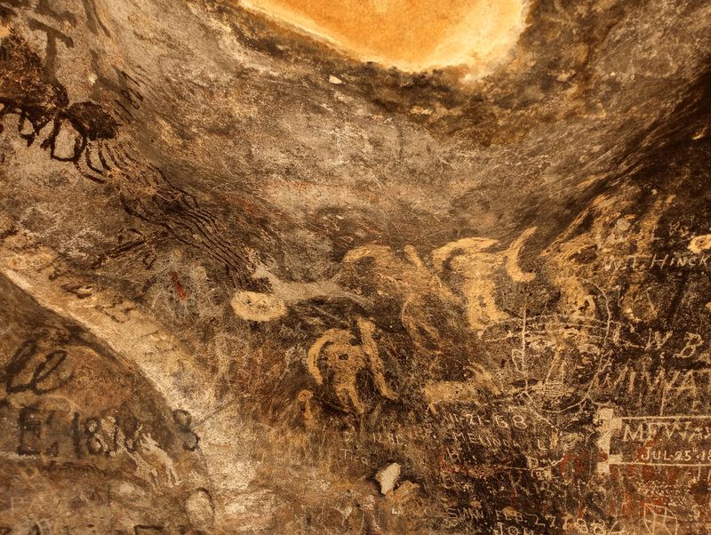 Guided Tours That Unlock Hidden Treasures