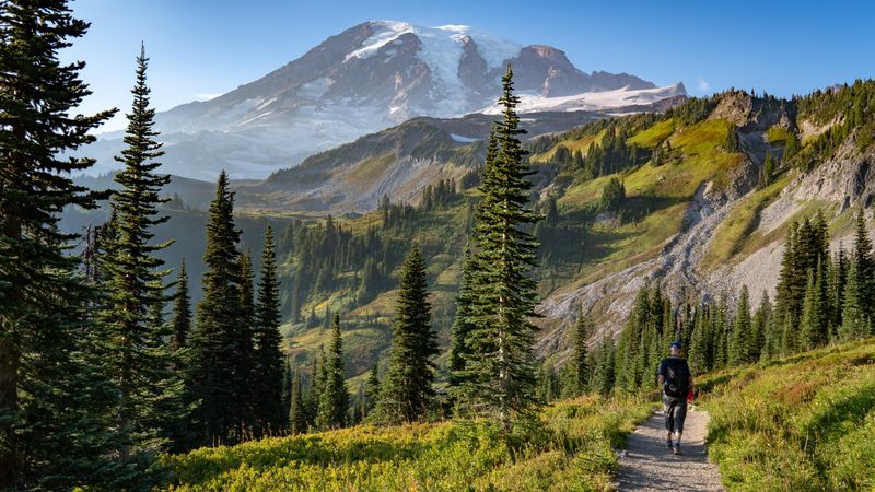 Mount Rainier National Park, Old Growth Forests