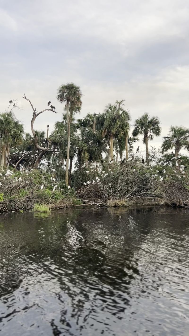 Jiggs Landing Eco Boat Tours, Bradenton