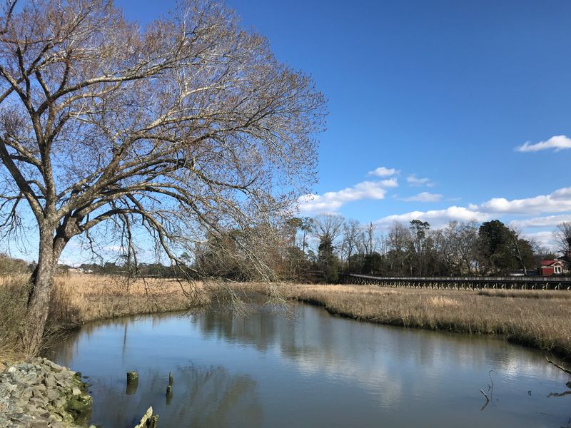 Cypress Creek Greenway Connection