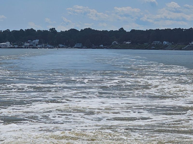 You'll Enjoy Stunning River and Shoreline Scenery