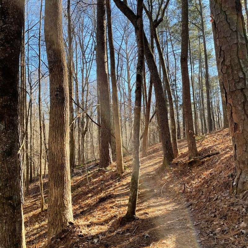 Hard Labor Creek State Park
