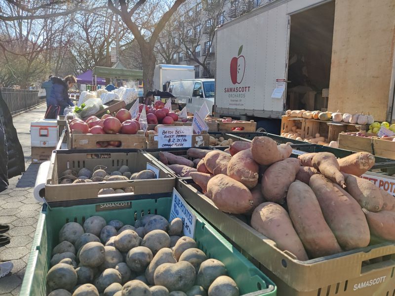 Tompkins Square Park Greenmarket