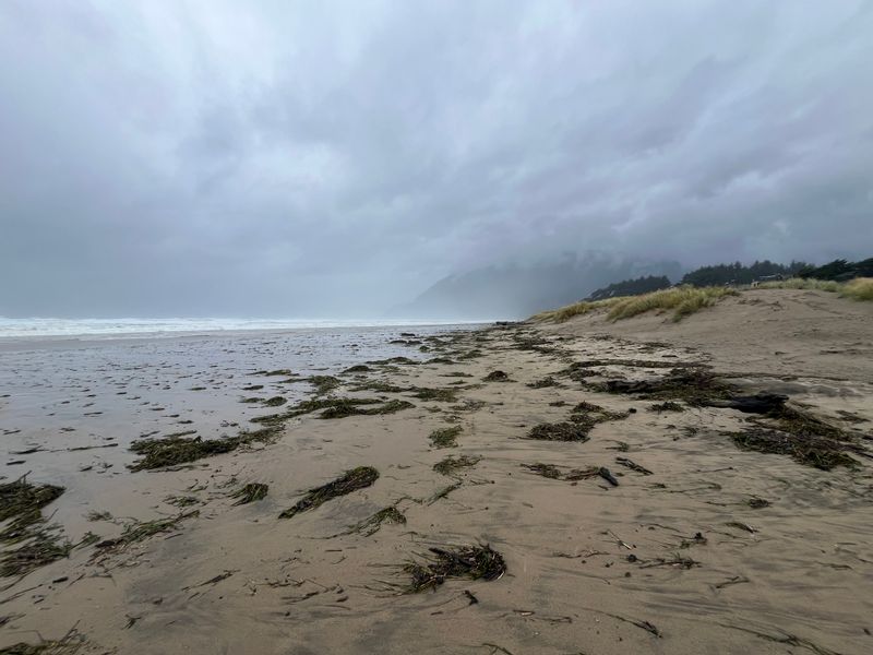 Manzanita: Strict Beach and Dune Protection