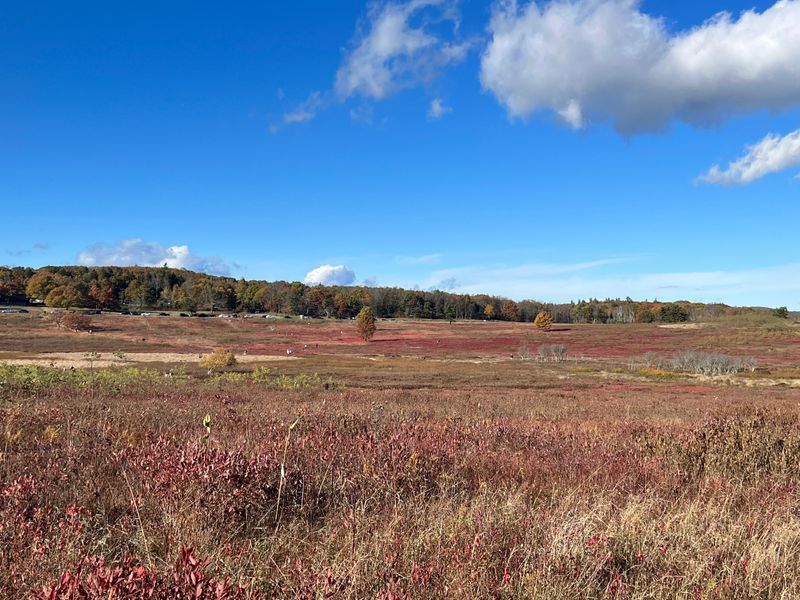 Big Meadows Overlook at Milepost 51