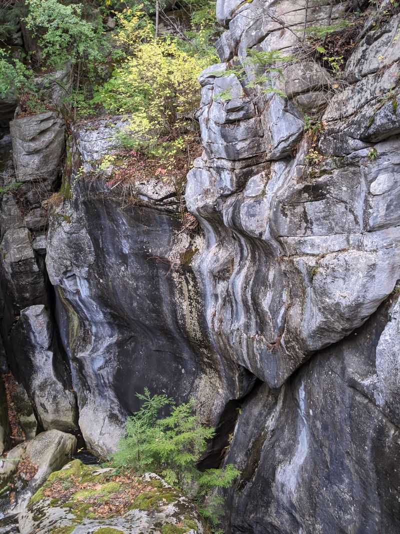Natural Bridge State Park