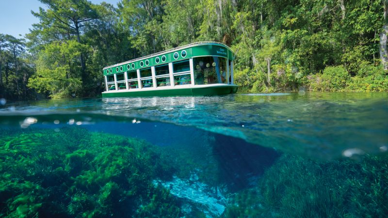Silver Springs Glass Bottom Boat Tours, Silver Springs