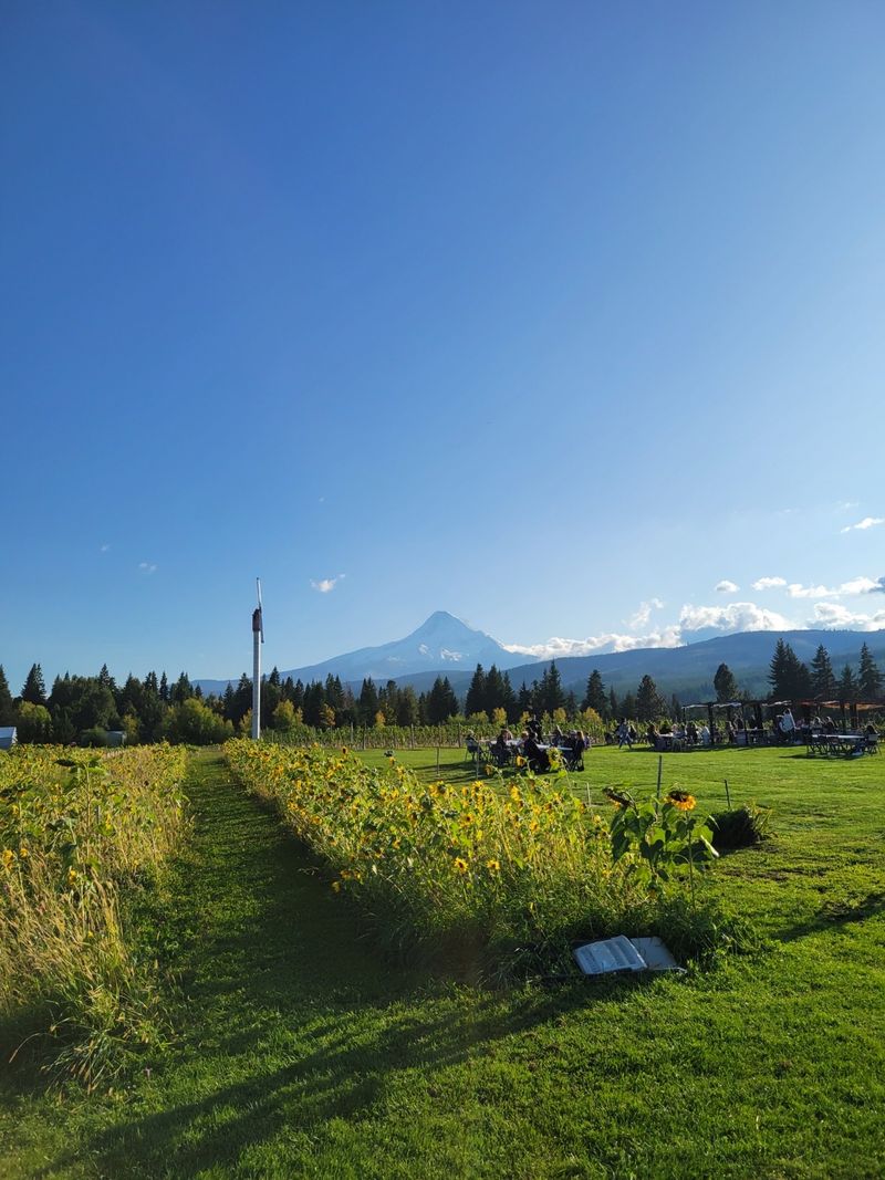 Mount Hood Area: Lakes, Scenic Byways, and Craft Beer