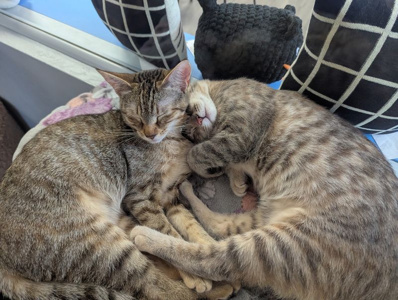 Enjoy a Spotless and Safe Environment