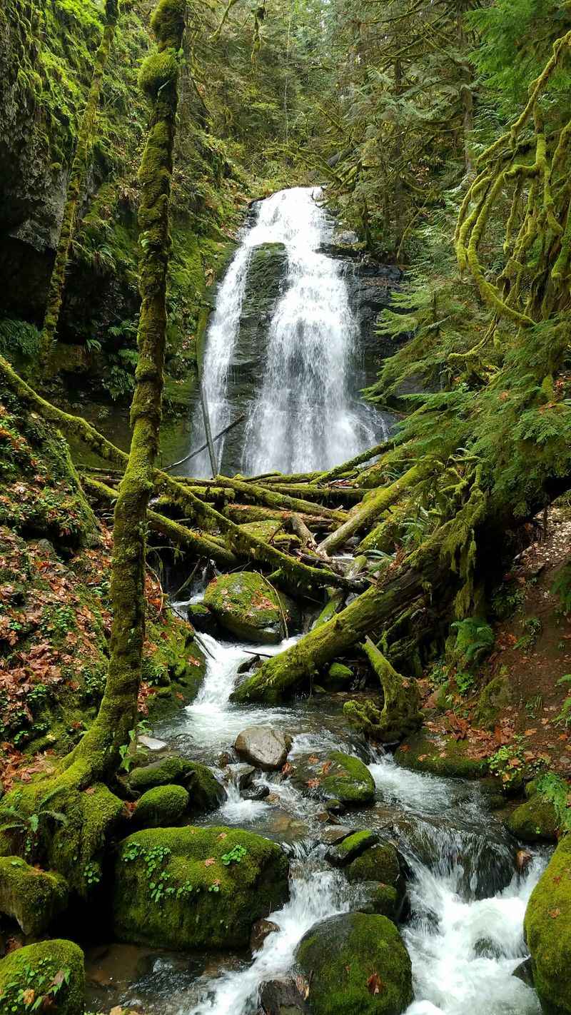Oakridge, Willamette National Forest