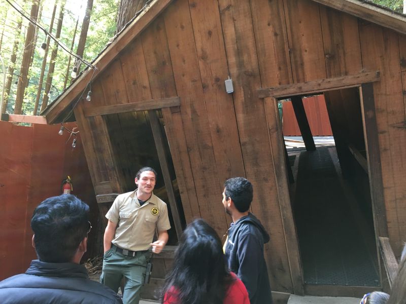 The Mystery Spot Delivers Overpriced Confusion