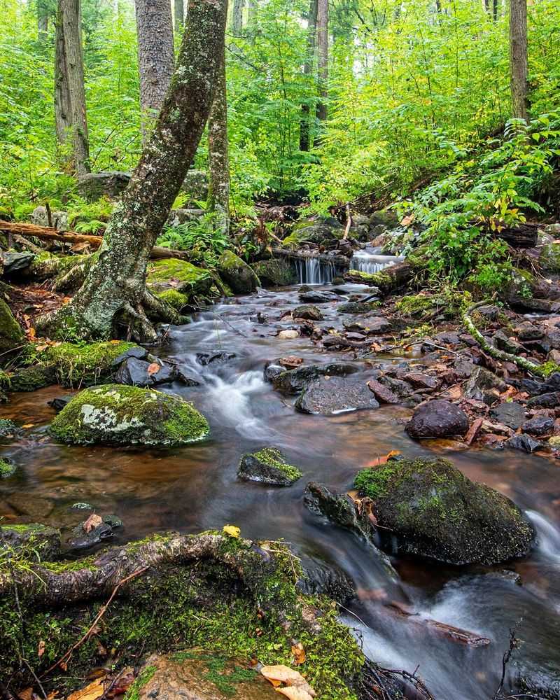 Tillman Ravine Trail at Stokes State Forest, New Jersey